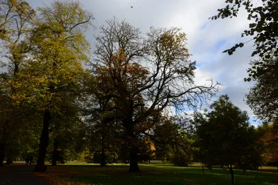 DSC_0462 (Large).JPG